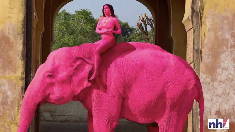 Elefante Rosa in India