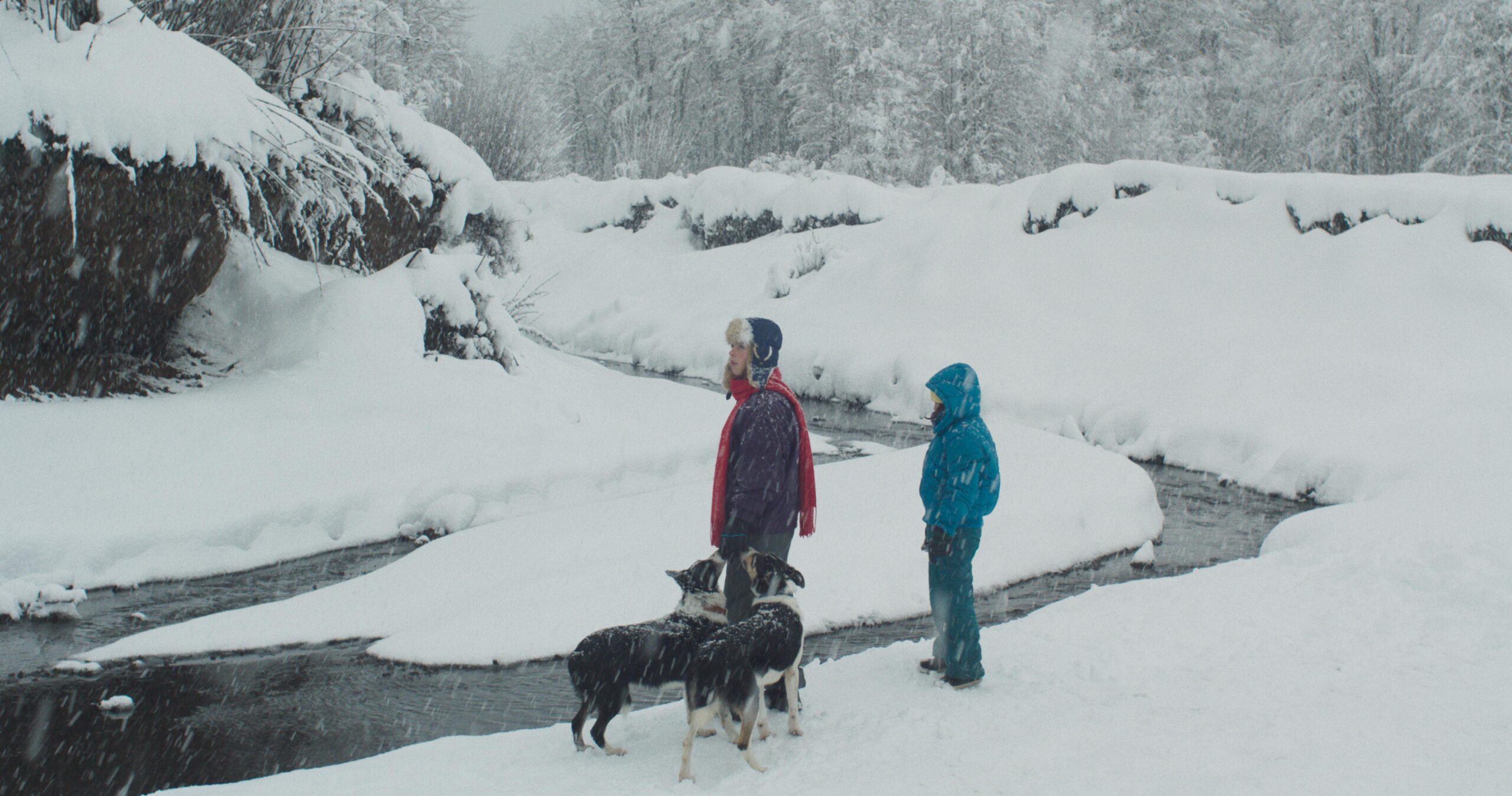 The Meltdown di Manuela Martelli