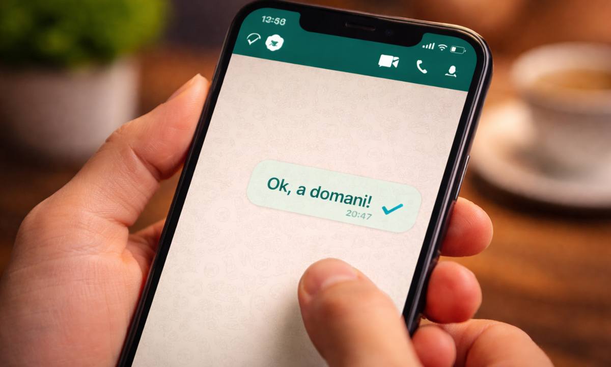 whatsapp visualizzato significato
