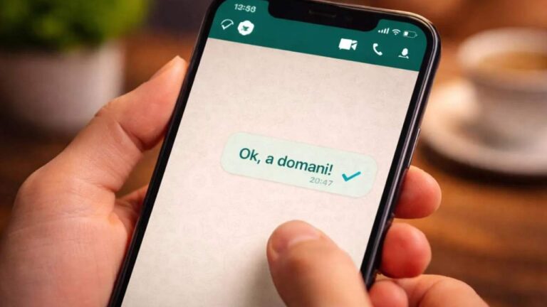 Spunte blu, ecco cosa significa il messaggio “visualizzato” su WhatsApp, secondo la psicologia comportamentale whatsapp visualizzato significato