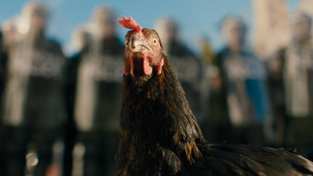 Un'incredibile avventura per la protagonista di Hen - Storia di una gallina