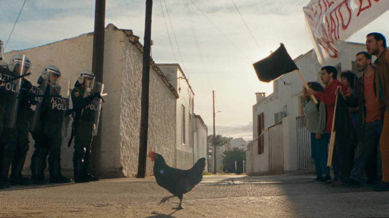 La gallina in mezzo alle proteste