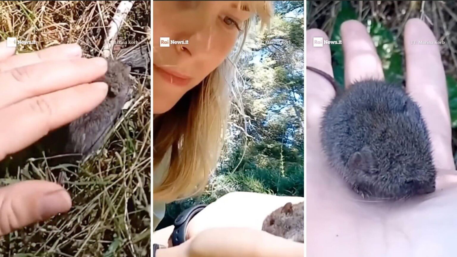 Marina Korb ed un topolino