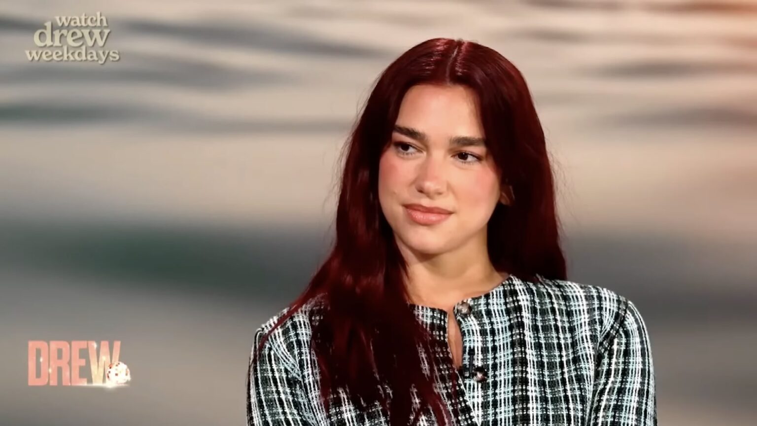 Dua Lipa apre una biblioteca con 100 libri censurati: il progetto che sta conquistando milioni di giovani lettori Dua Lipa