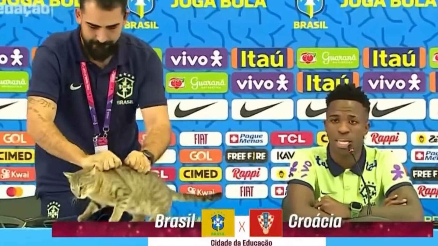 Mondiale 2026, il Brasile cade ancora e torna virale la maledizione del gatto Hexa: per molti è iniziato tutto lì Il Brasile e la maledizione del gatto Hexa