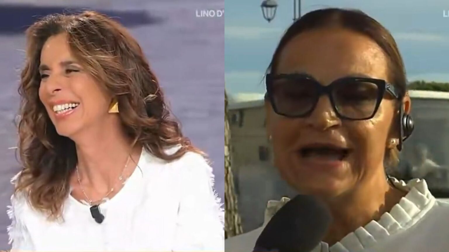 Bambole gonfiabili e biscotti osceni, quando i turisti dimenticano il senso civico: ecco cosa ha detto l’esperta di galateo Un servizio su come si comportano i turisti a Desenzano del Garda