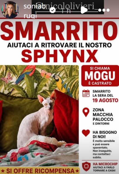 Micol Olivieri e la ricompensa del gatto