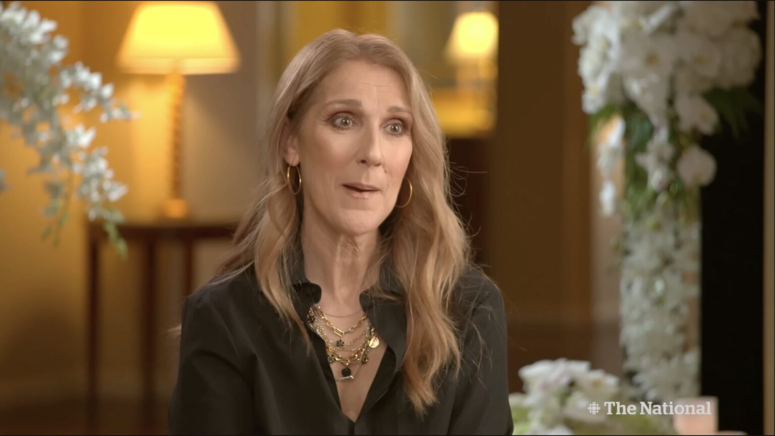 Céline Dion ricrea il suo abito degli Oscar del 1997: il risultato vale 67 carati di diamanti (e 1.380 ore di lavoro) Céline Dion
